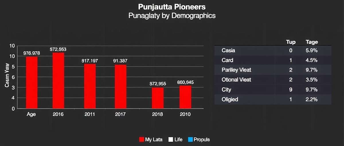 Punjagutta Pioneers - Player Demographics in India Punjagutta Pioneers player demographics showing age distribution and city-wise popularity